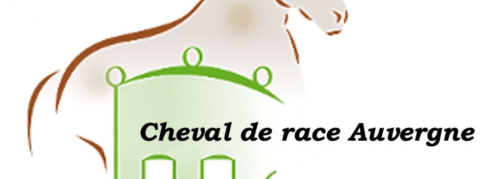 Juges Modèle et Allures Cheval Auvergne